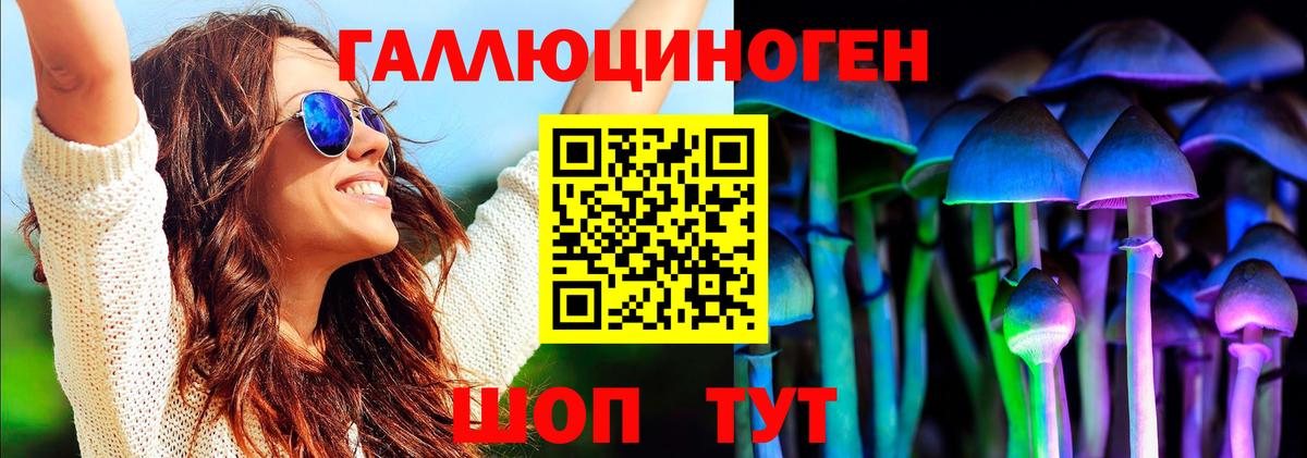 Псилоцибиновые грибы Psilocybe  Вход с VPN  Семёнов 